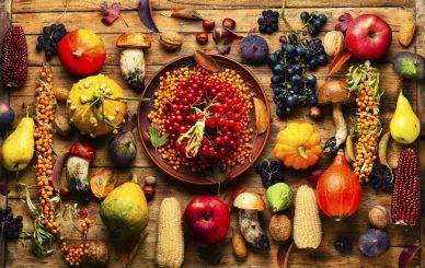 Large set of autumn fruits, vegetables and berries.Autumn nature concept