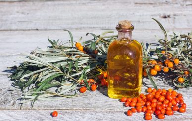 A jar with sea buckthorn oil and a fresh branch of sea buckthorn with berries on a wooden background. Sea buckthorn oil, tea, antioxidant and vitamins
